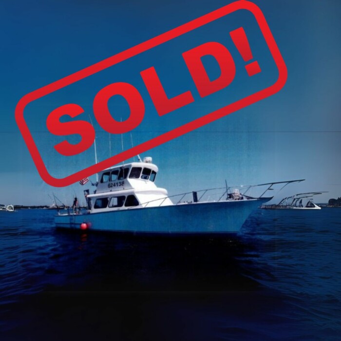 Showtime - SOLD!